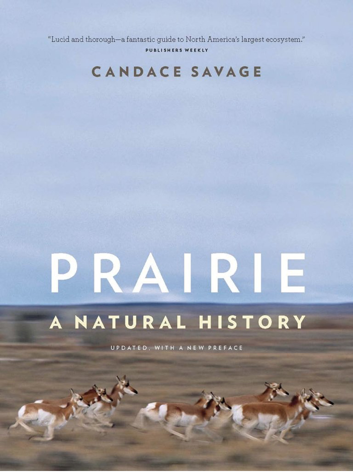 Prairie